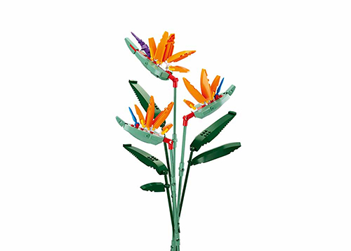 M38-B1121C Sluban - Strelitzia Reginae Aiton